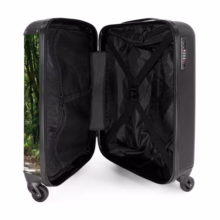 Suitcase - Road - Trees - Nature - Greenery — 5