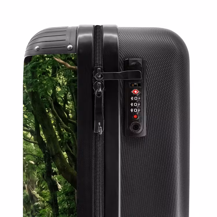 Suitcase - Road - Trees - Nature - Greenery — 6