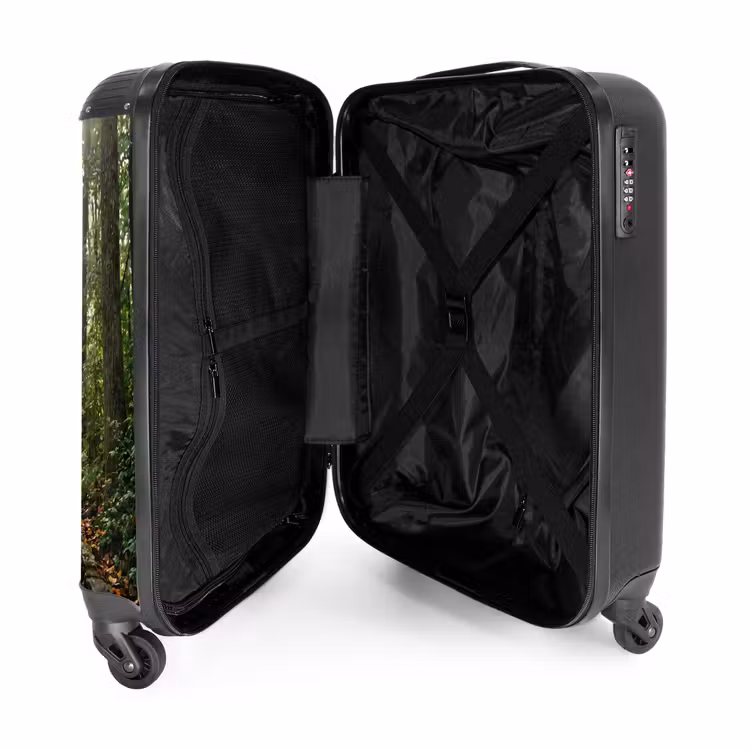 Suitcase - Rocks - Stairs - Forest - Nature — 5