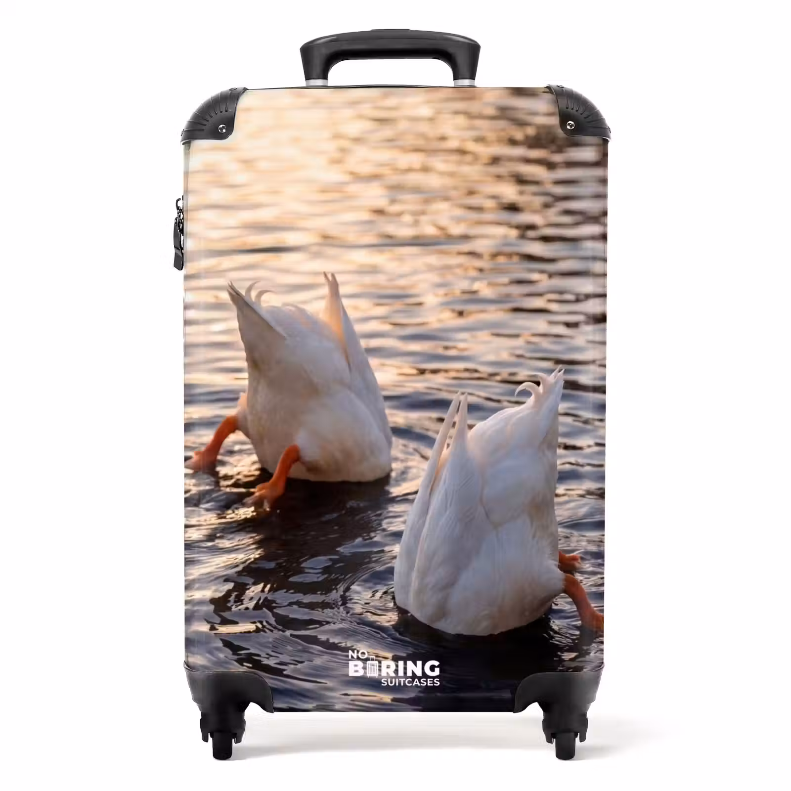 Suitcase - Ducks - Water - Nature — 1