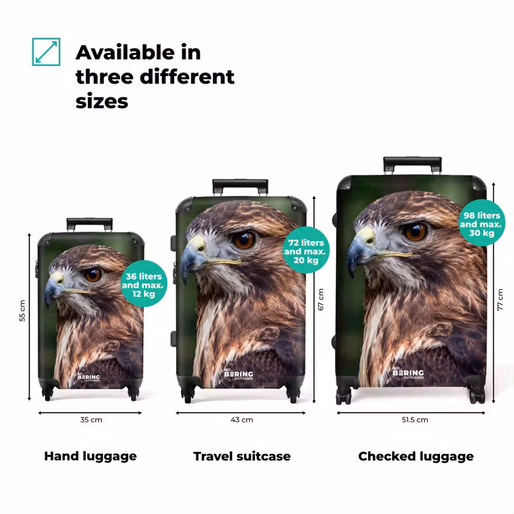 Suitcase - Buzzard - Bird of Prey - Nature - Brown — 3