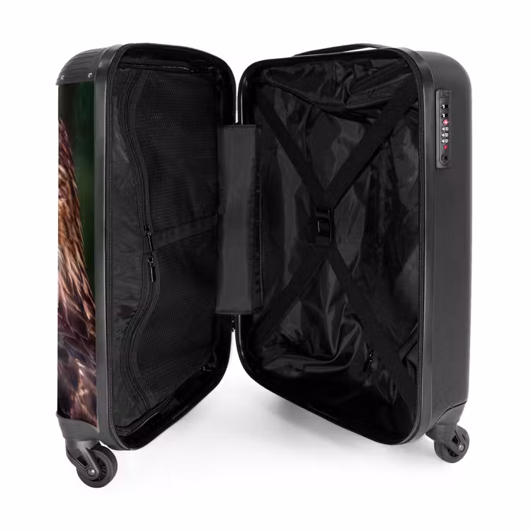 Suitcase - Buzzard - Bird of Prey - Nature - Brown — 5
