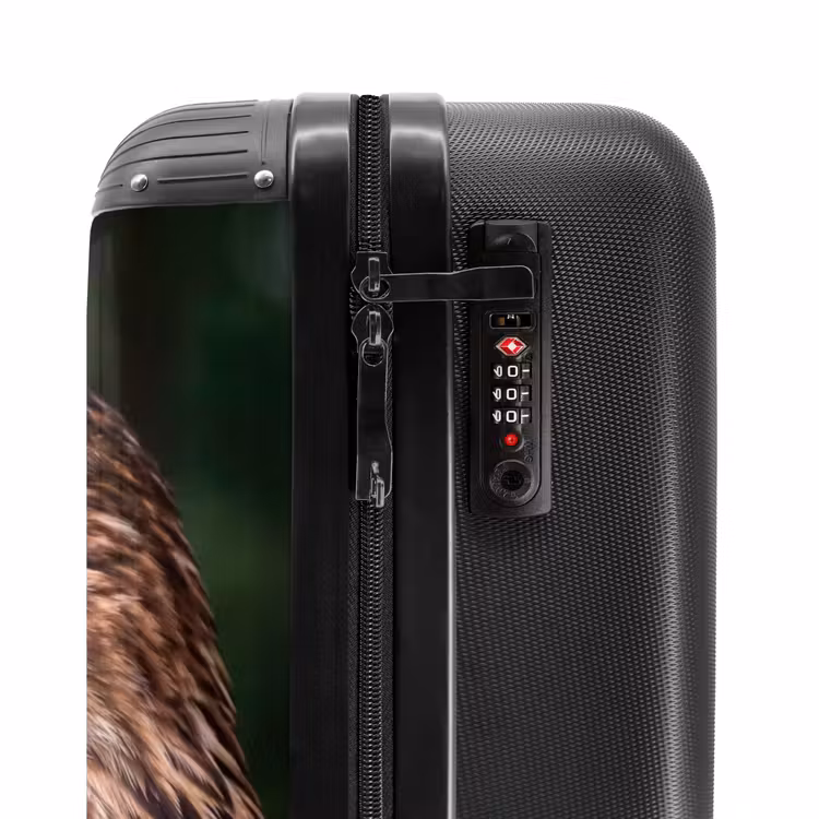 Suitcase - Buzzard - Bird of Prey - Nature - Brown — 6