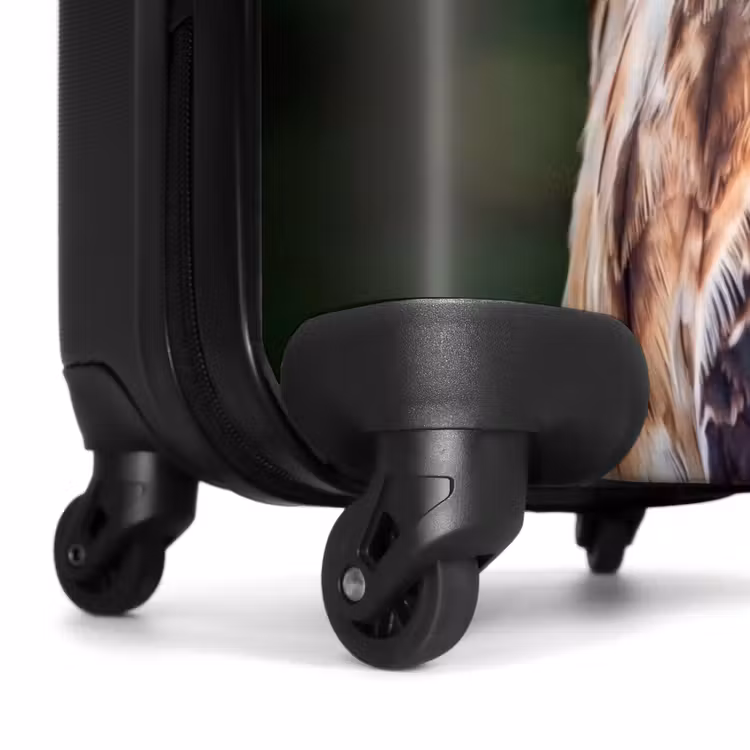 Suitcase - Buzzard - Bird of Prey - Nature - Brown — 7