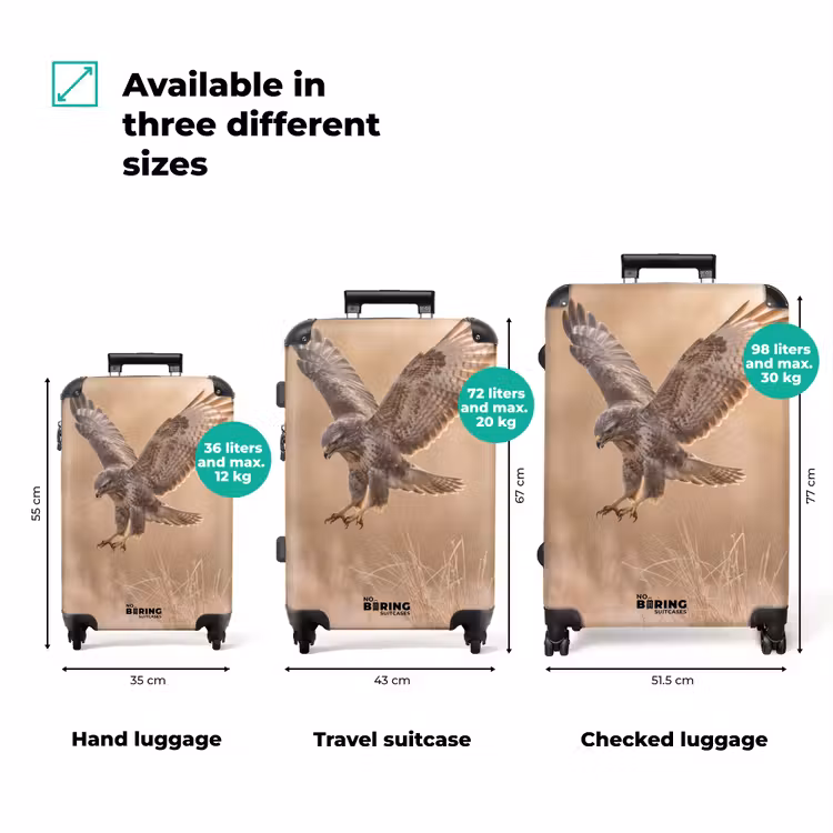 Suitcase - Buzzard - Bird of Prey - Nature - Brown — 3