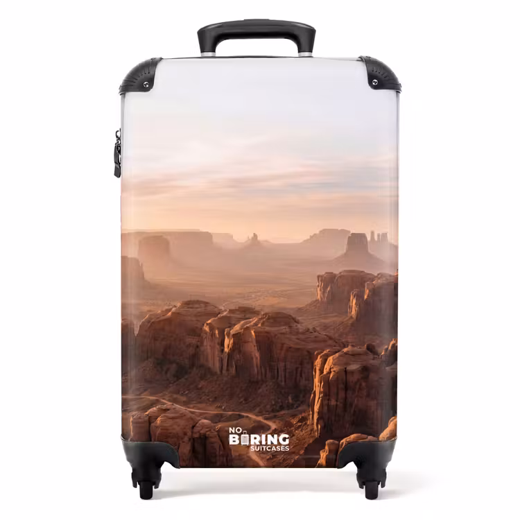Suitcase - Desert - Landscape - Nature — 1