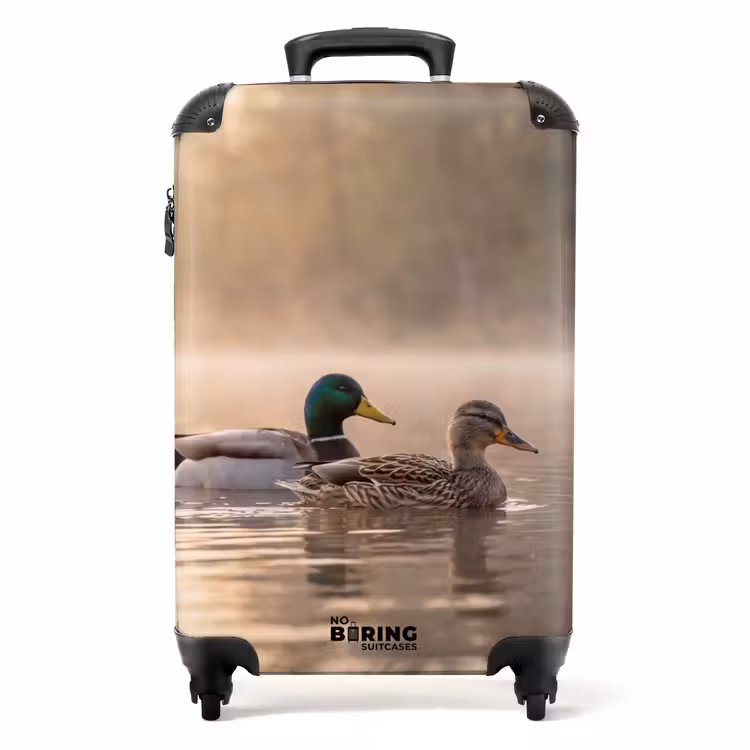 Suitcase - Ducks - Water - Fog - Nature — 1