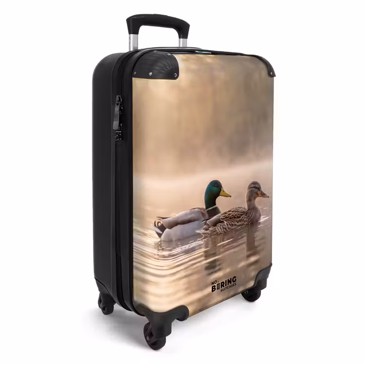 Suitcase - Ducks - Water - Fog - Nature — 2