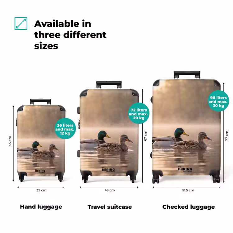 Suitcase - Ducks - Water - Fog - Nature — 3