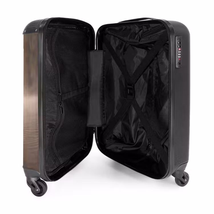 Suitcase - Ducks - Water - Fog - Nature — 5