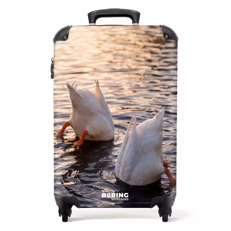 Suitcase - Ducks - Water - Nature — 1