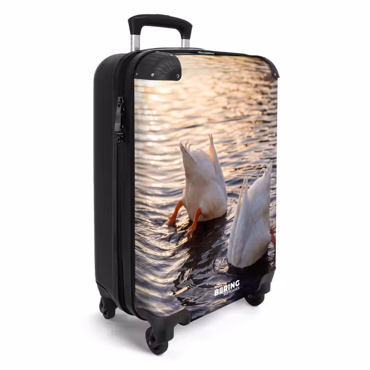 Suitcase - Ducks - Water - Nature — 2