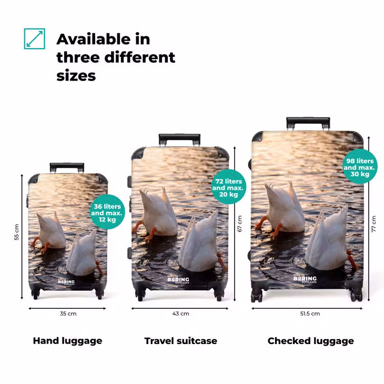 Suitcase - Ducks - Water - Nature — 3