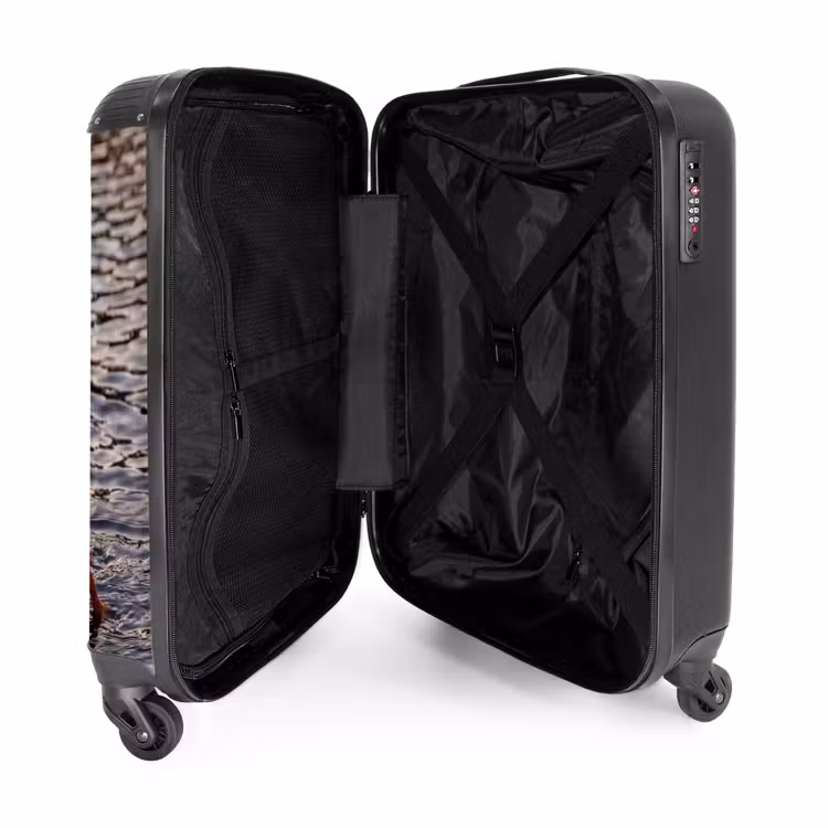 Suitcase - Ducks - Water - Nature — 5