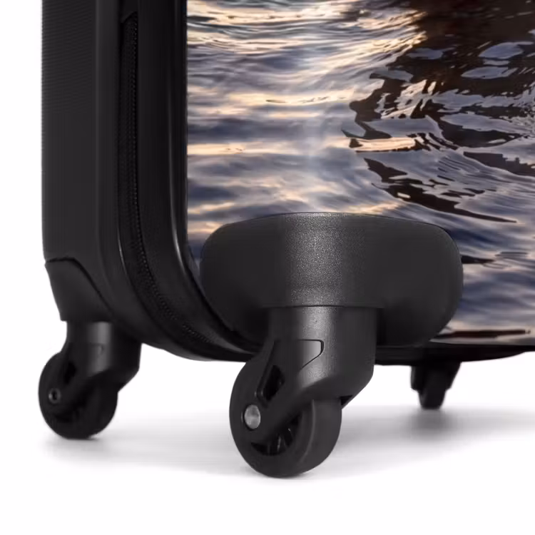 Suitcase - Ducks - Water - Nature — 7