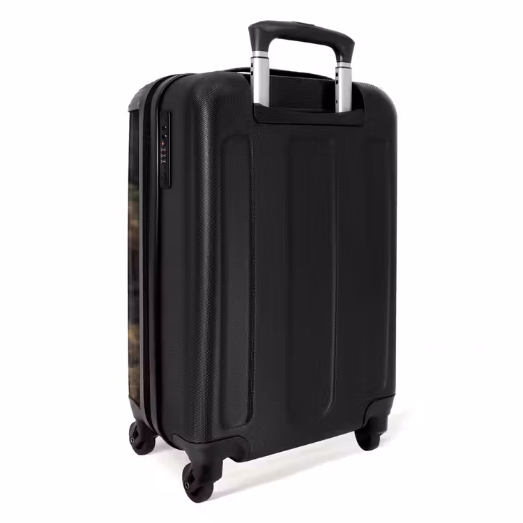 Suitcase - Eagle - Flying - Forest - Nature — 4
