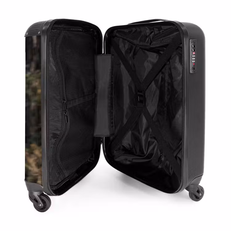 Suitcase - Eagle - Flying - Forest - Nature — 5
