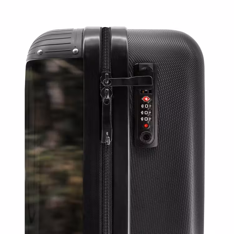 Suitcase - Eagle - Flying - Forest - Nature — 6