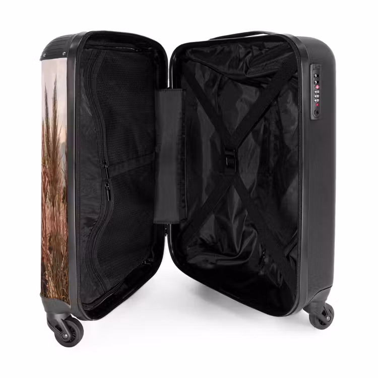 Suitcase - Grass - Field - Sun - Nature — 5