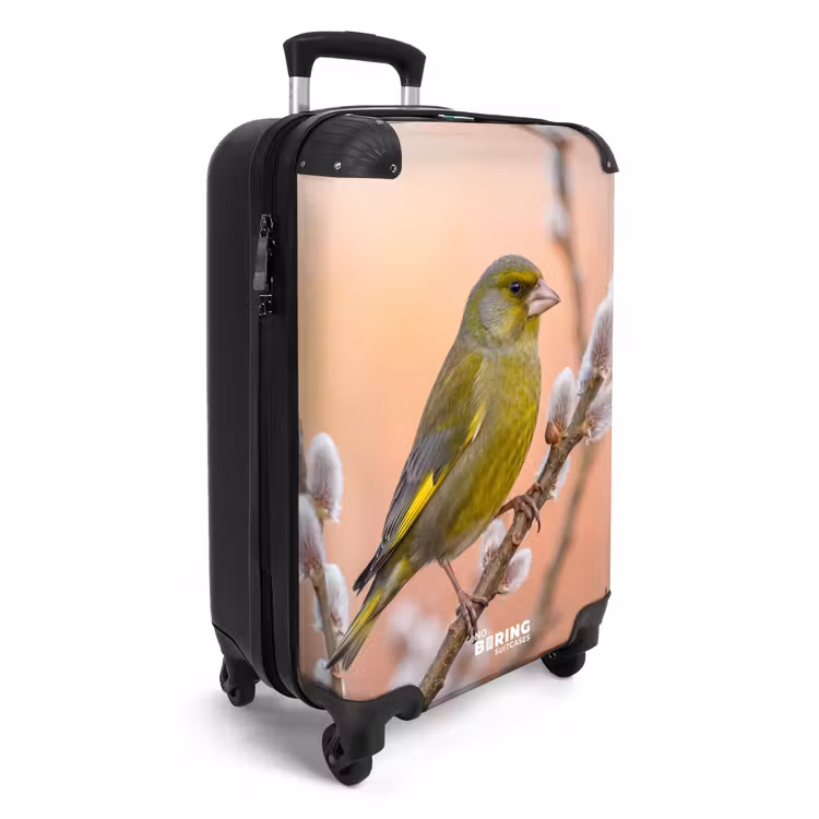 Suitcase - Greenfinch - Catkins - Spring - Nature - Soft — 2