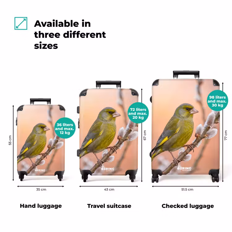 Suitcase - Greenfinch - Catkins - Spring - Nature - Soft — 3