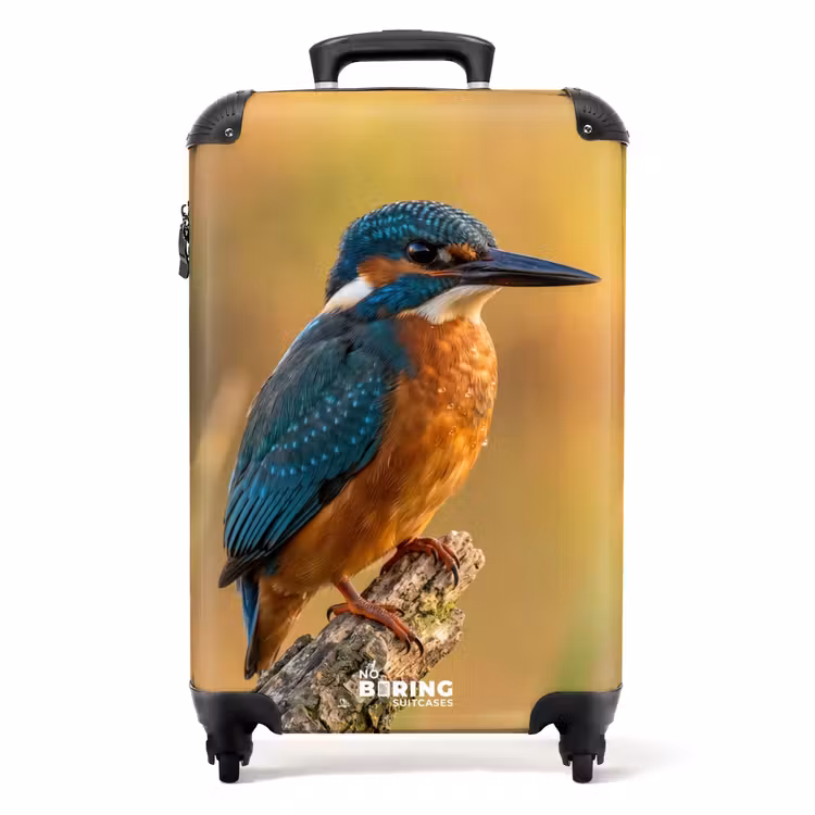 Suitcase - Kingfisher - Branch - Water - Colorful - Lively — 1