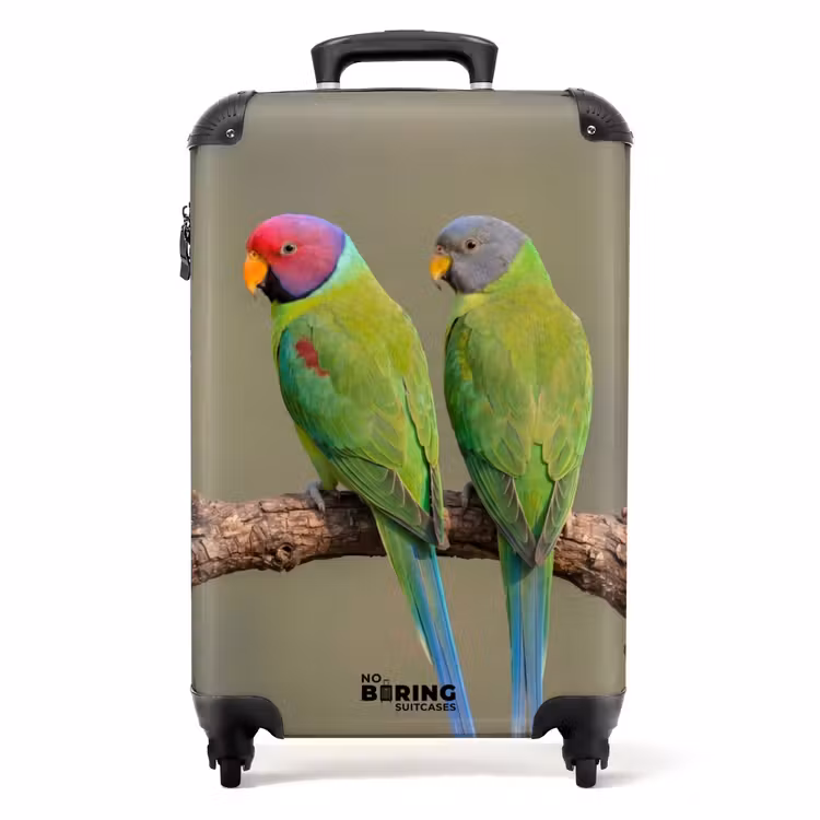Suitcase - Parrot - Branch - Nature - Colorful — 1