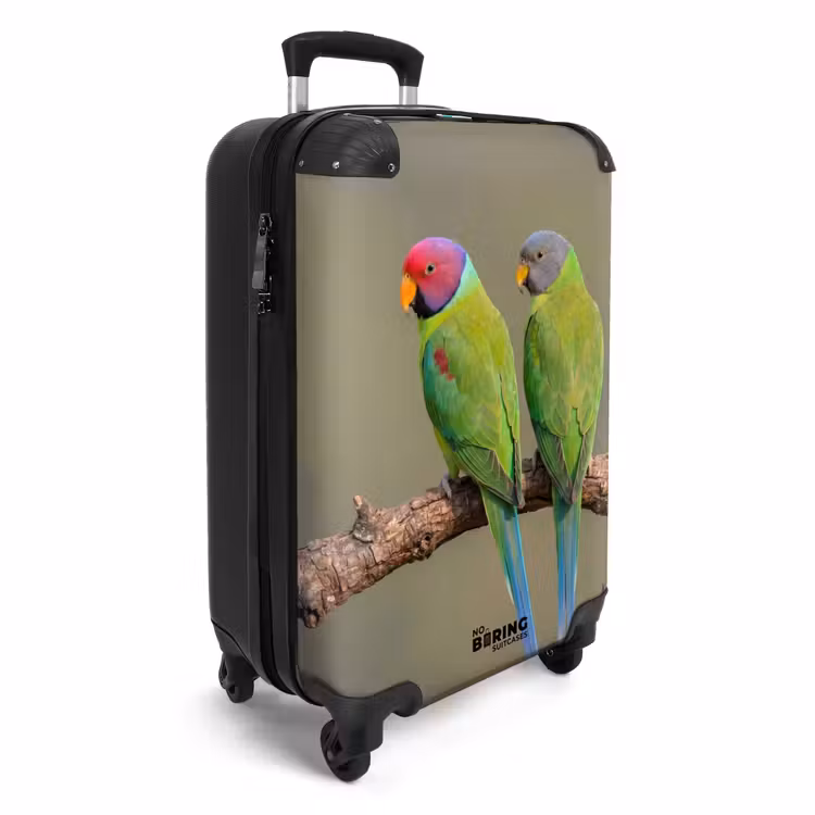 Suitcase - Parrot - Branch - Nature - Colorful — 2