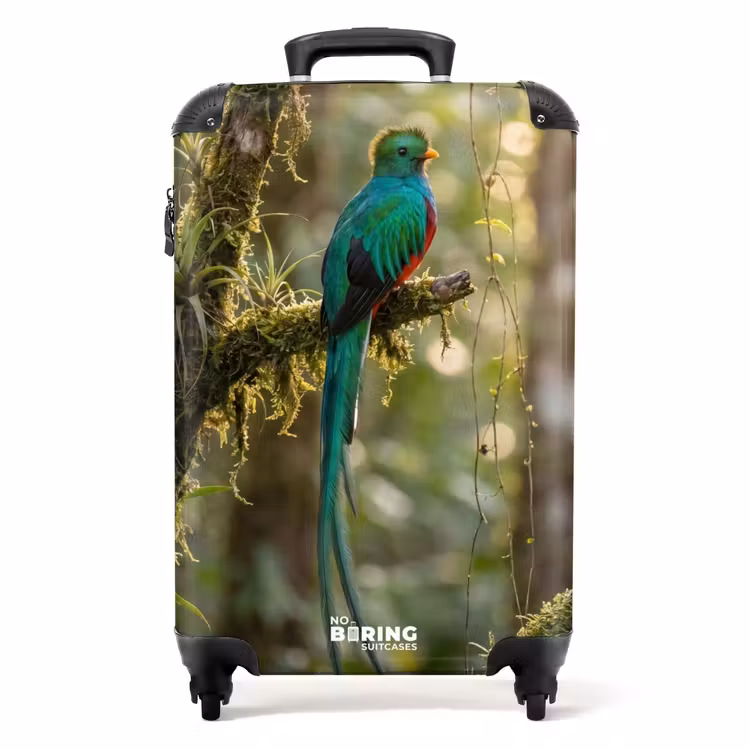Suitcase - Quetzal - Jungle - Nature - Green — 1