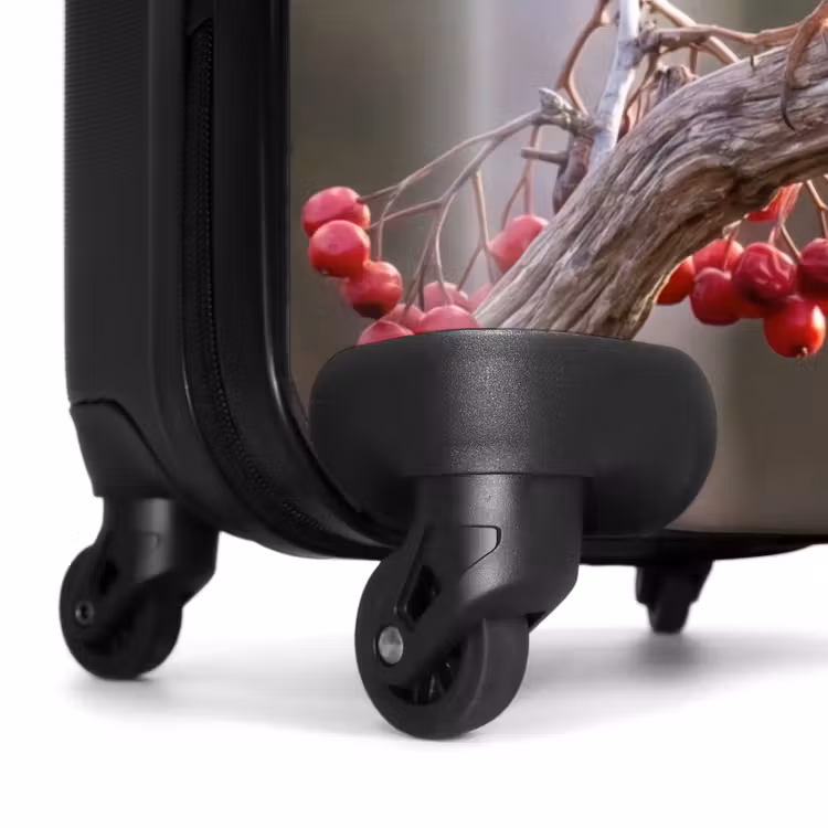 Suitcase - Robin - Branch - Berries - Nature — 7