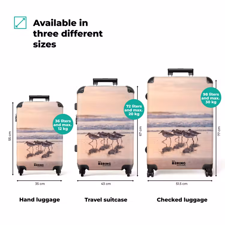 Suitcase - Sea - Birds - Beach — 3