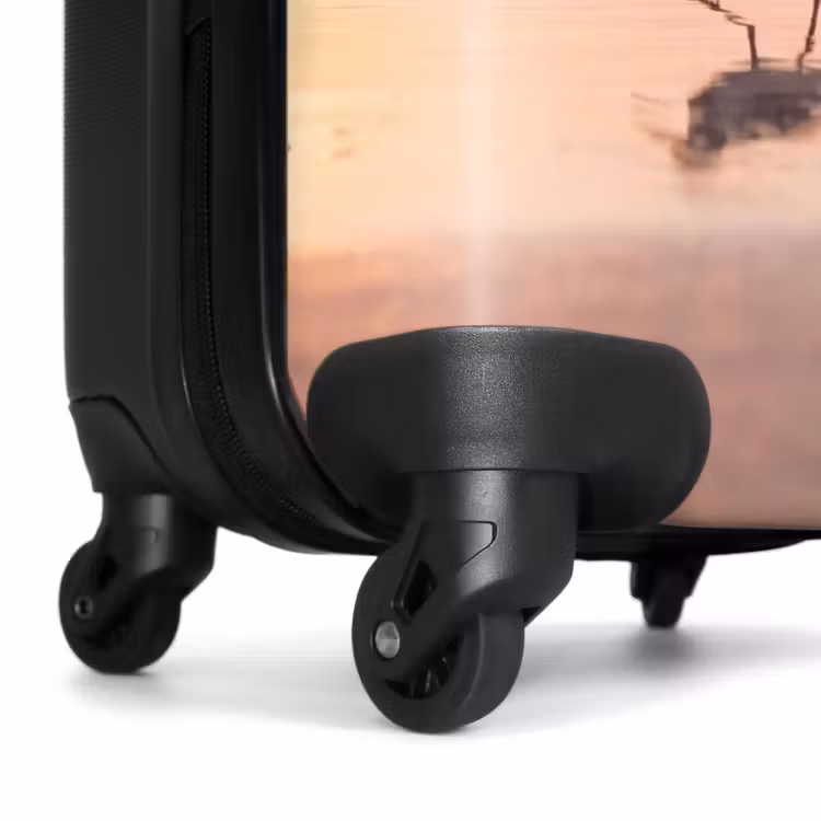 Suitcase - Sea - Birds - Beach — 7
