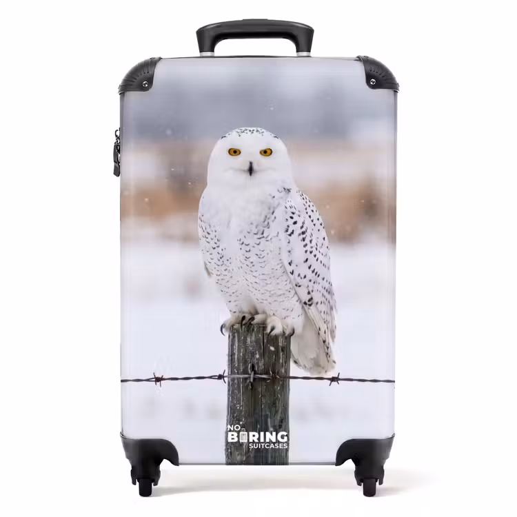 Suitcase - Snowy Owl - Fence - Snow - White — 1