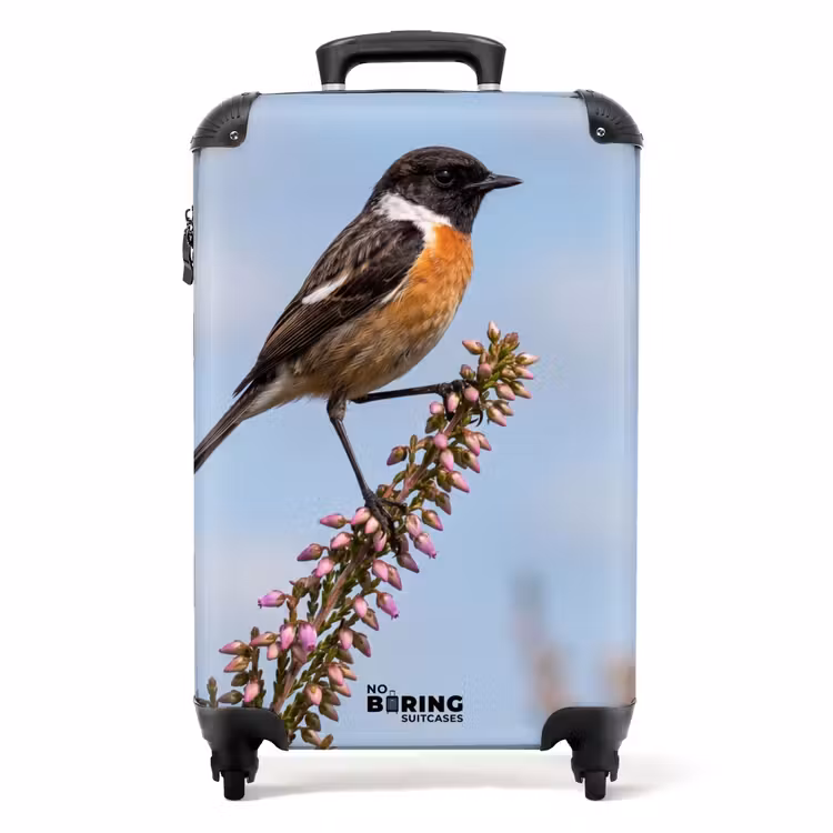 Suitcase - Stonechat - Heath - Purple - Nature - Atmospheric — 1