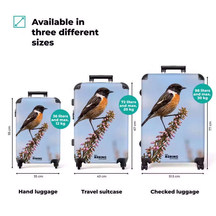 Suitcase - Stonechat - Heath - Purple - Nature - Atmospheric — 3
