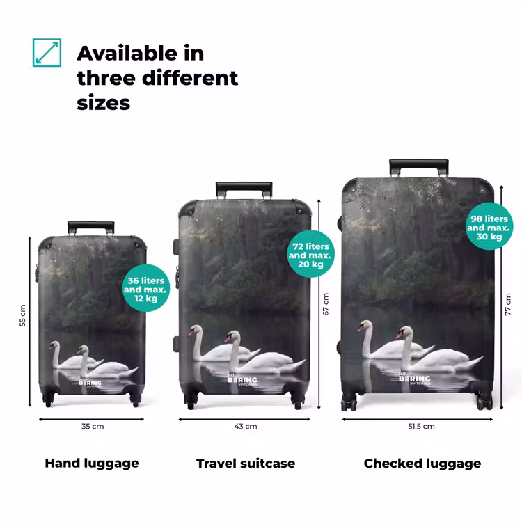 Suitcase - Swans - River - Forest — 3
