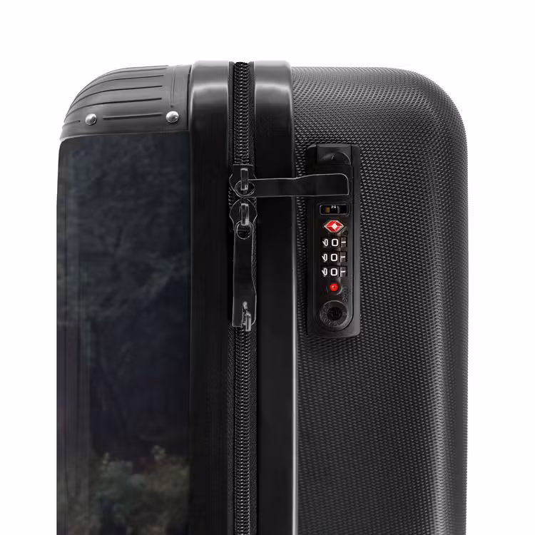 Suitcase - Swans - River - Forest — 6