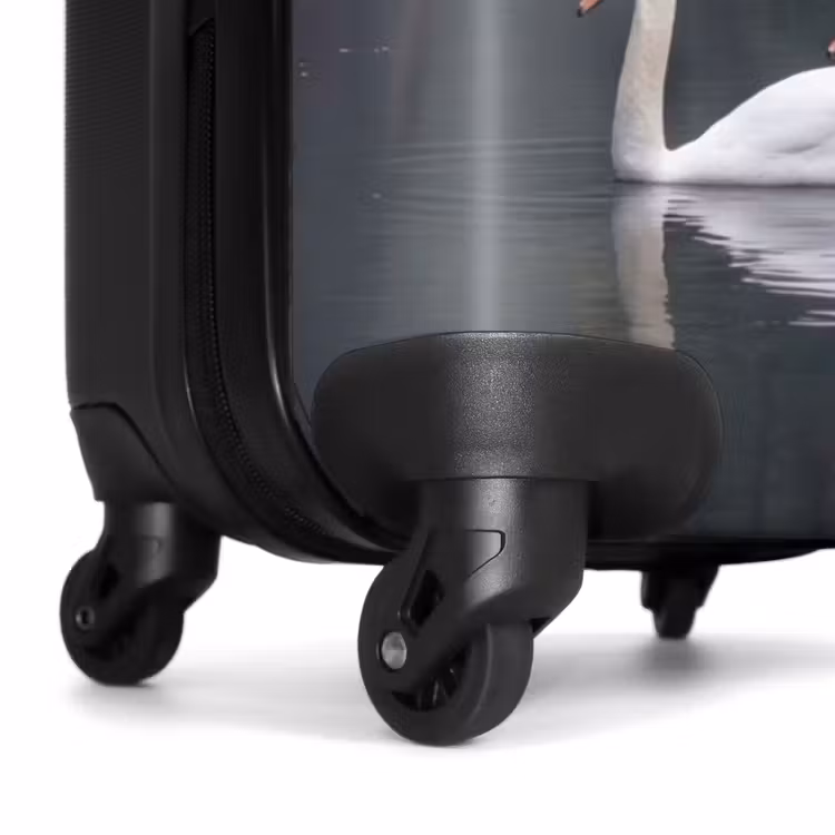 Suitcase - Swans - River - Forest — 7