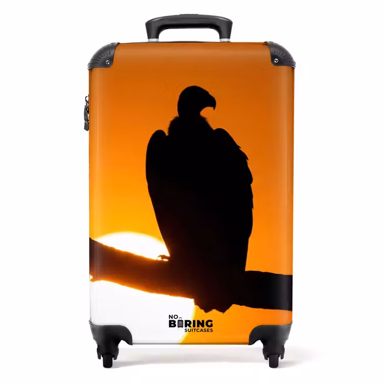 Suitcase - Vulture - Branch - Sun - Orange — 1