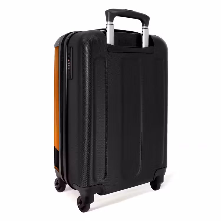 Suitcase - Vulture - Branch - Sun - Orange — 4