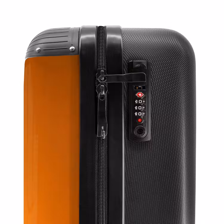 Suitcase - Vulture - Branch - Sun - Orange — 6