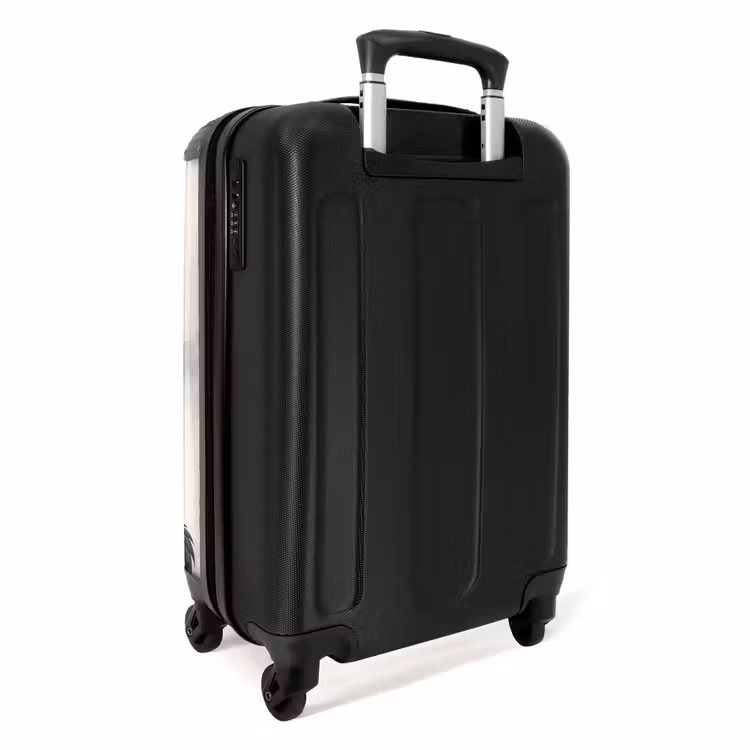 Suitcase - Crane - Asia - Classical — 4