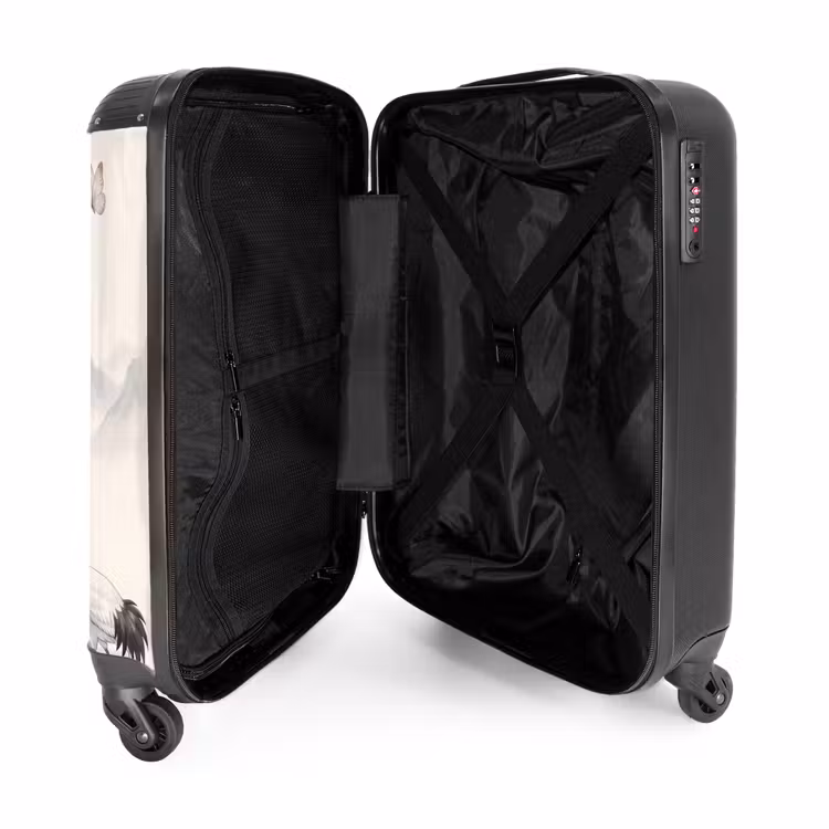Suitcase - Crane - Asia - Classical — 5