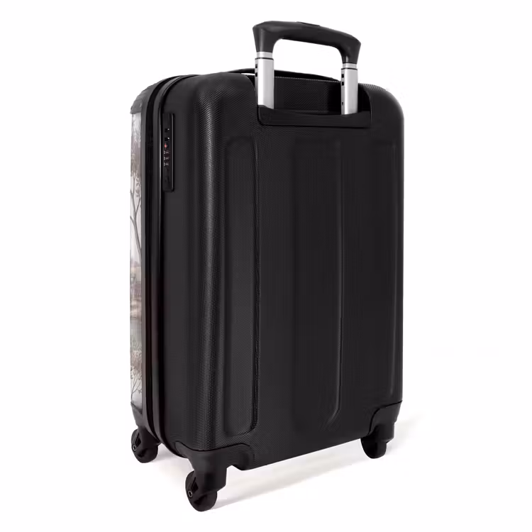 Suitcase - Patio - Water - Nature - Landscape — 4
