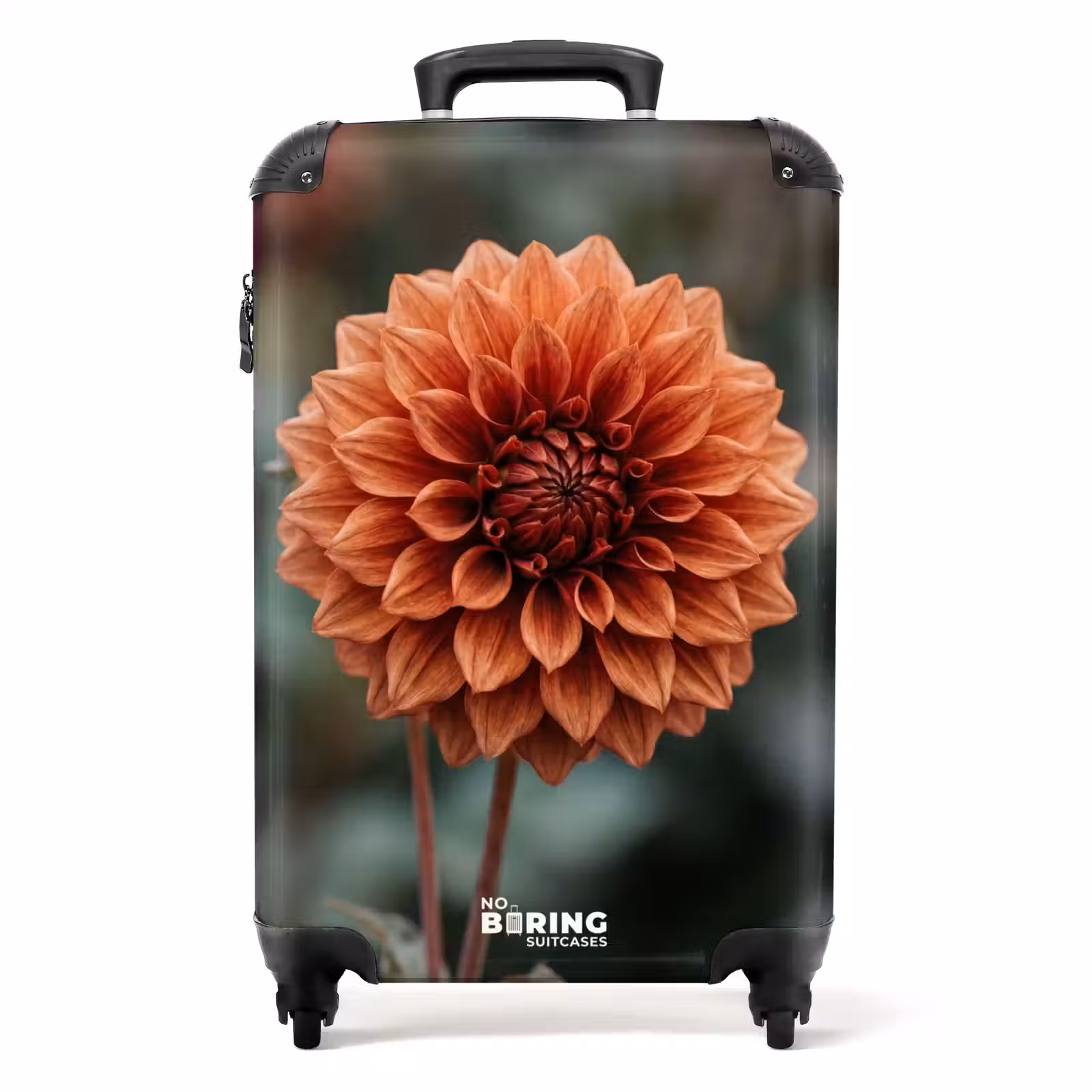 Suitcase - Dahlia - Flower - Nature - Atmospheric — 1