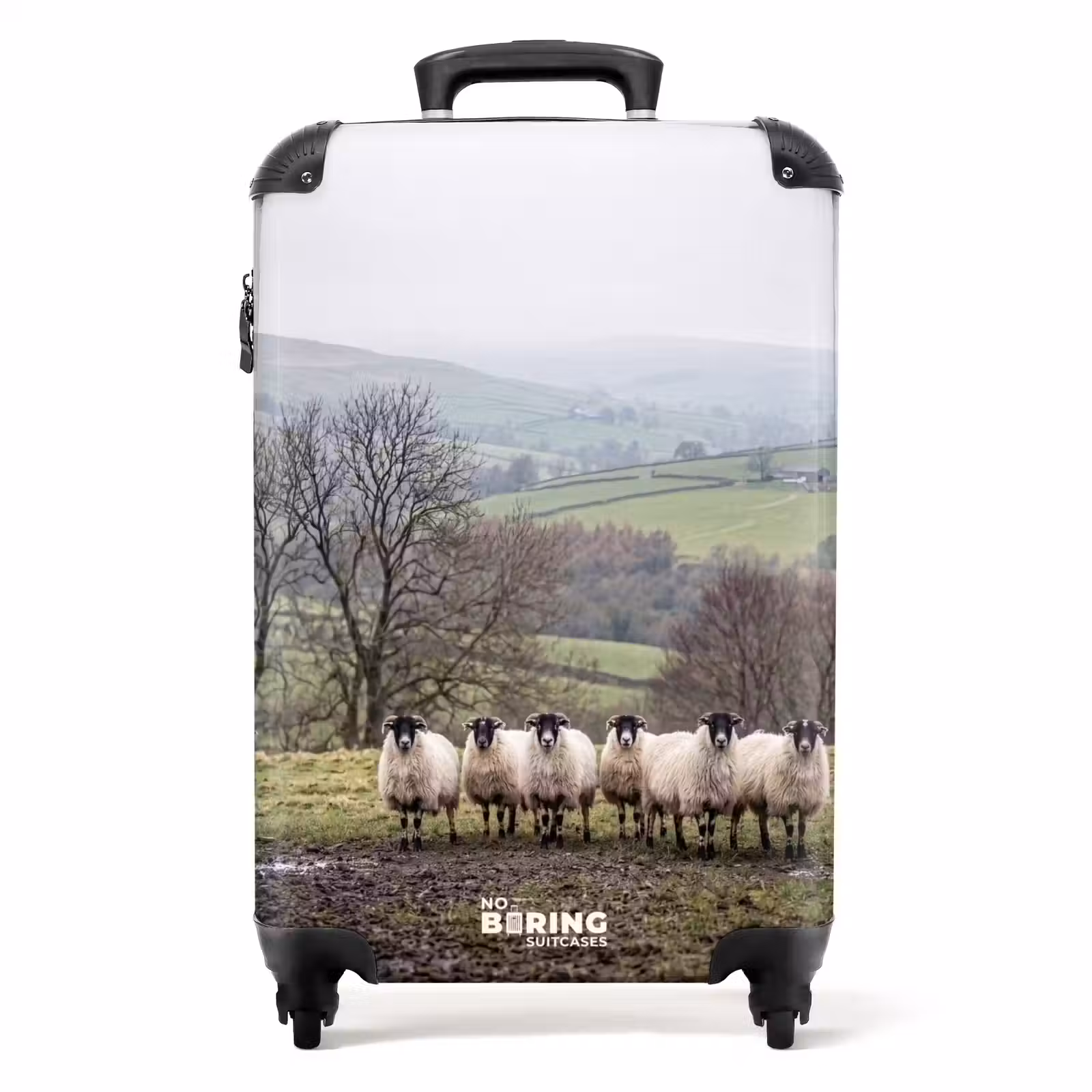 Suitcase - Sheep - Row - Pasture - Animals - Countryside — 1
