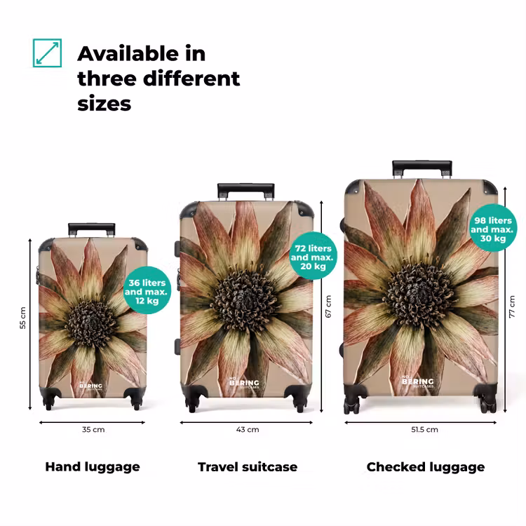 Suitcase - Dried Flower - Protea - Vintage - Beige - Rustic — 3