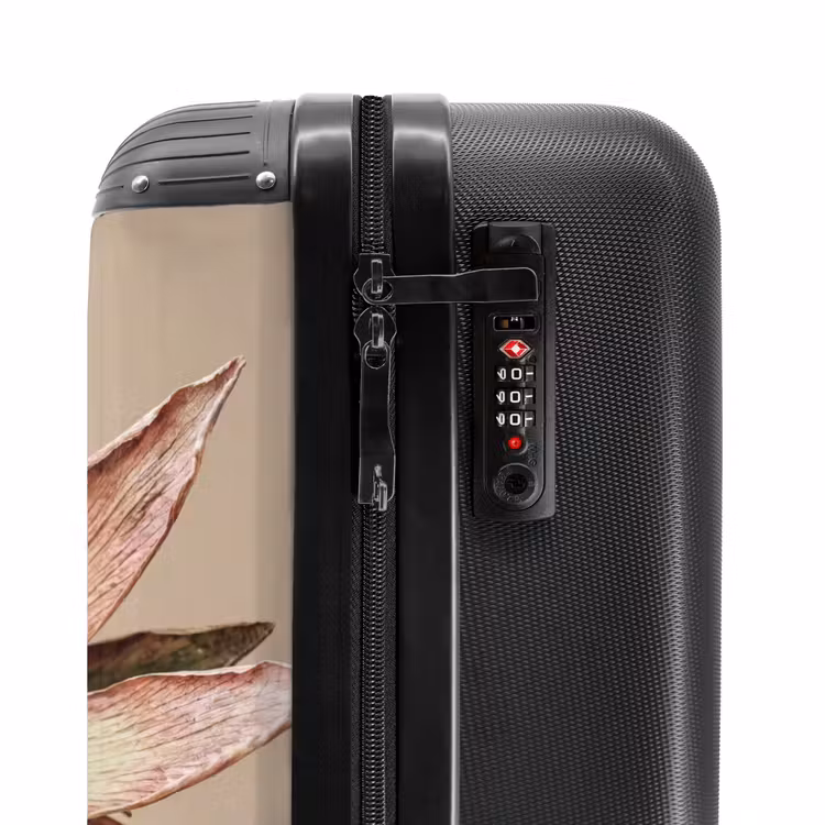 Suitcase - Dried Flower - Protea - Vintage - Beige - Rustic — 6