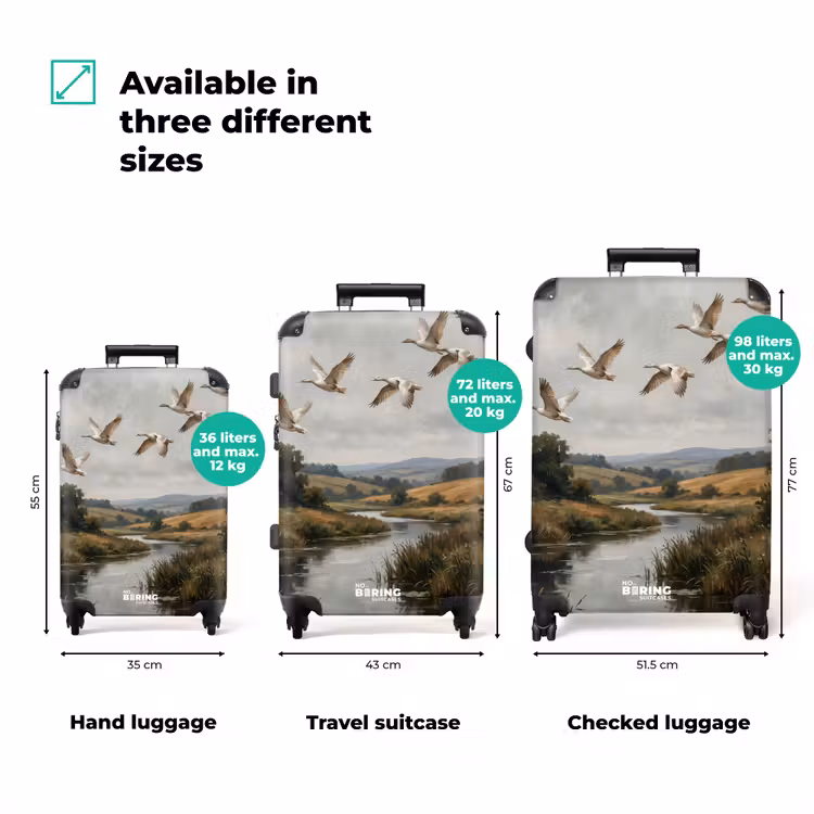Suitcase - Ducks - River - Landscape - Flight - Nostalgic — 3