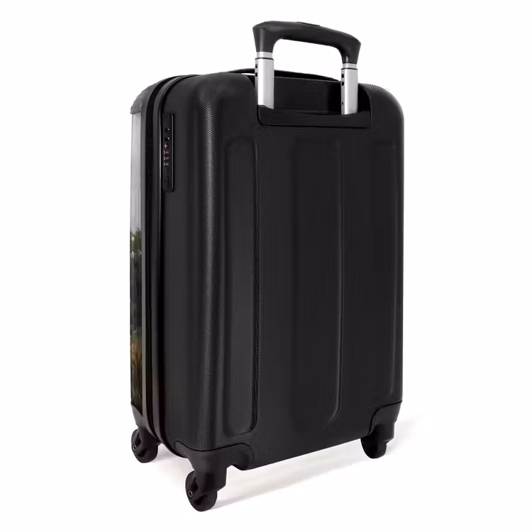 Suitcase - Ducks - River - Landscape - Flight - Nostalgic — 4